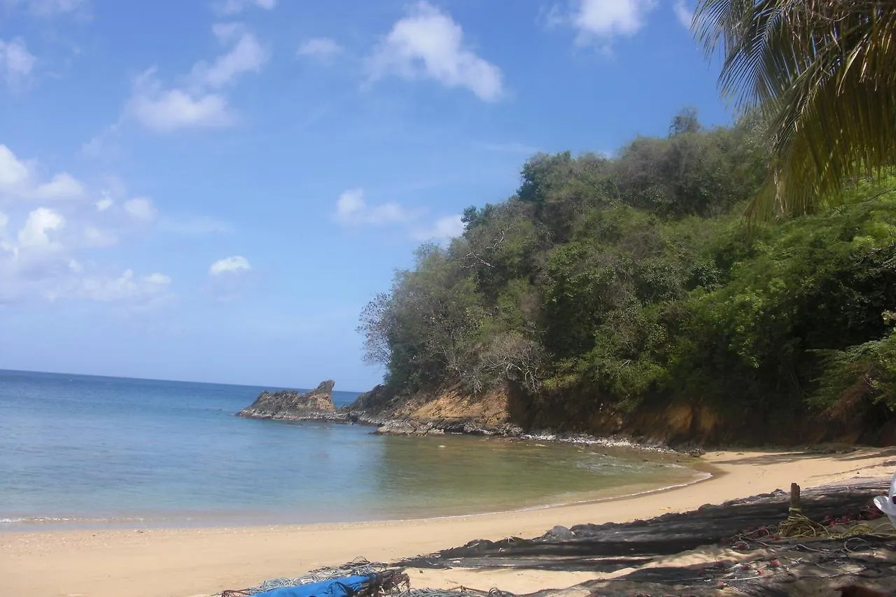 Golden Apple Cottage Castara Trinidad And Tobago