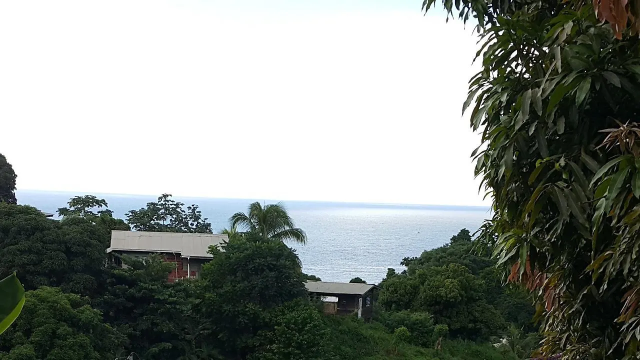 Golden Apple Cottage Castara Βίλα
